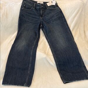 Hollister Low-Rise Baggy Blue Jeans